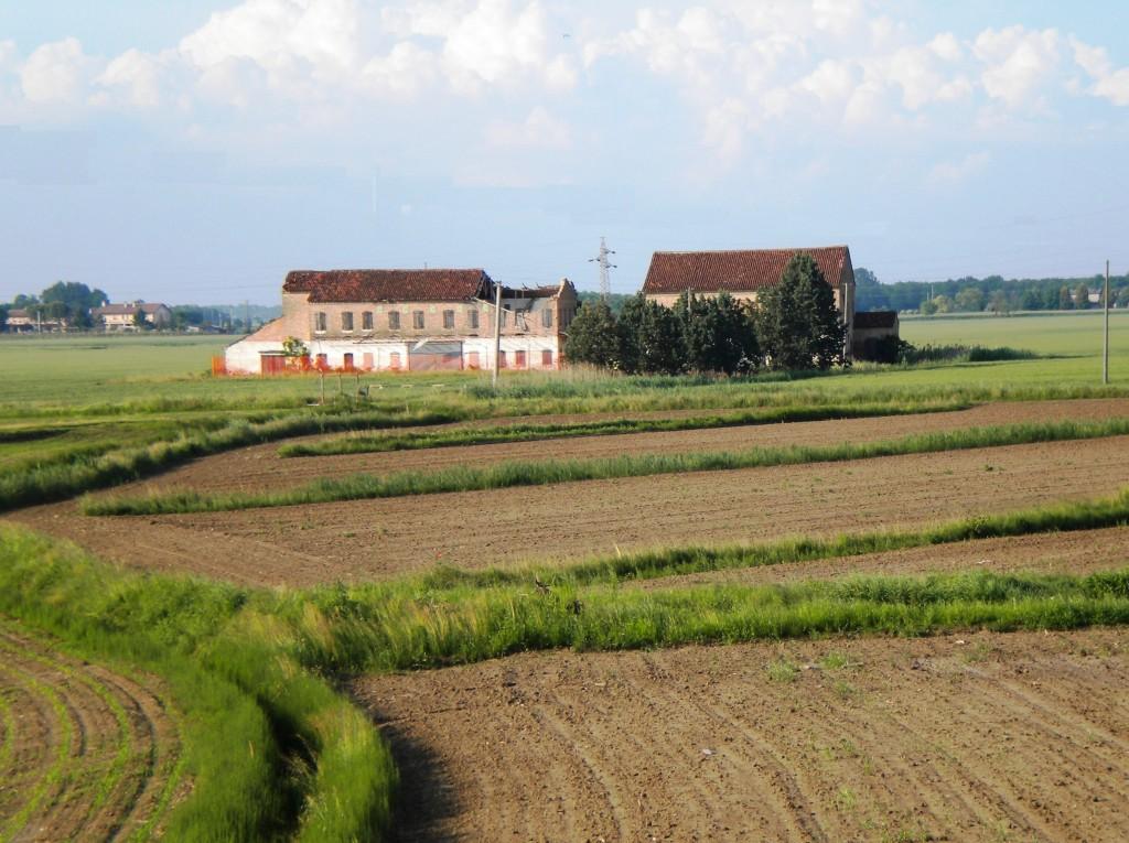 La CAMPAGNA del NOVECENTO e Antologia del MATAUSEN